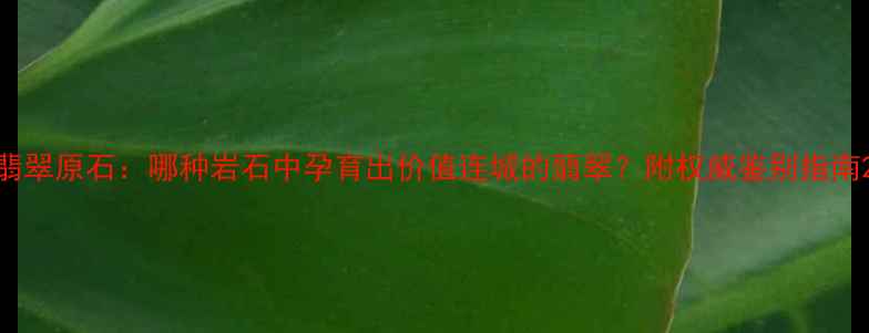 翡翠原石哪种岩石中孕育出价值连城的翡翠附权威鉴别指南
