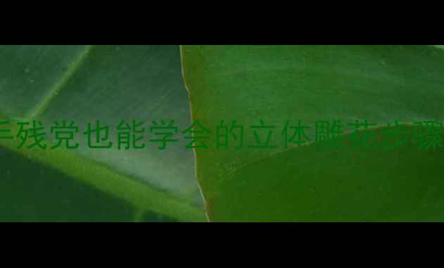 图片 翡翠叶子雕刻教程｜手残党也能学会的立体雕花步骤，附新手避坑指南！2