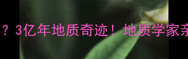 图片 翡翠形成需要多少年？3亿年地质奇迹！地质学家亲述翡翠诞生全过程1