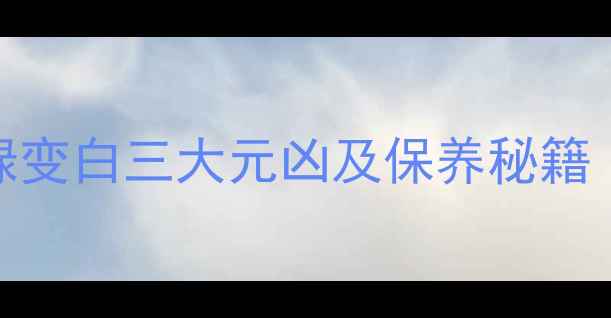 图片 翡翠戴6年后变白？绿变白三大元凶及保养秘籍（附盘玩修复指南）1