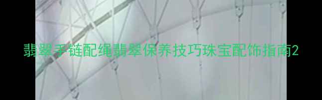 图片 翡翠手链配绳翡翠保养技巧珠宝配饰指南2