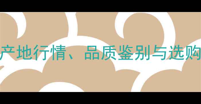 翡翠手镯价格全云南产地行情品质鉴别与选购指南附最新报价表