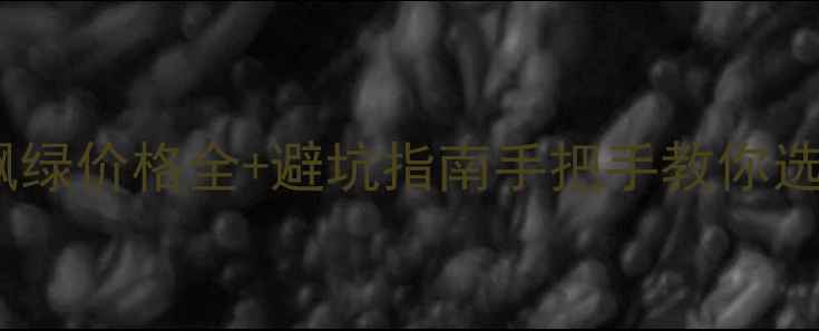 翡翠手镯飘绿价格全避坑指南手把手教你选对不踩雷