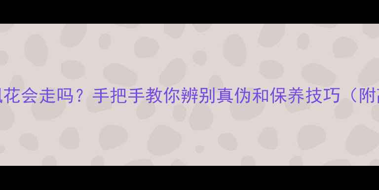 翡翠手镯飘花会走吗手把手教你辨别真伪和保养技巧附高清图解