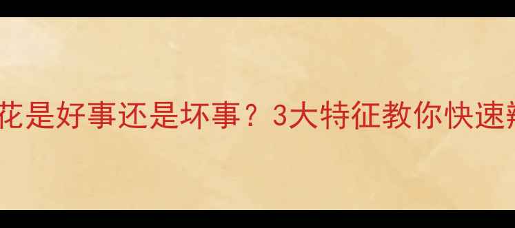翡翠毛料有松花是好事还是坏事3大特征教你快速辨别真假松花
