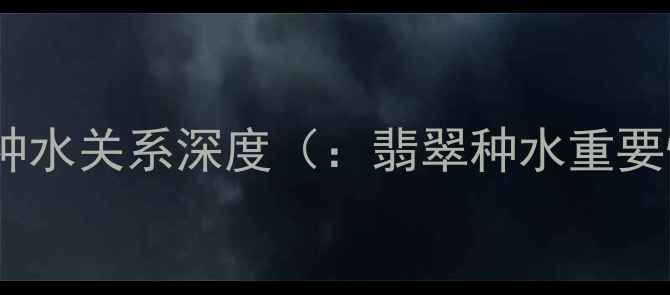 图片 翡翠种水关系深度（：翡翠种水重要性）1