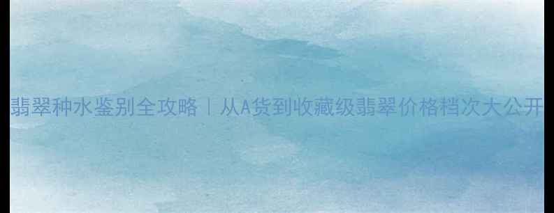翡翠种水鉴别全攻略从A货到收藏级翡翠价格档次大公开