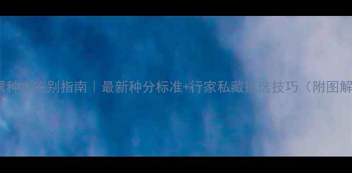 图片 翡翠种水鉴别指南｜最新种分标准+行家私藏挑选技巧（附图解）2