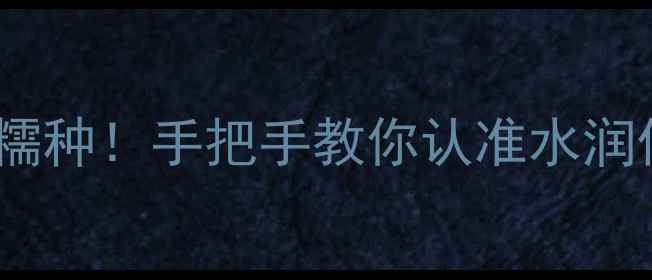 图片 翡翠细糯vs糯种！手把手教你认准水润值钱的翡翠1