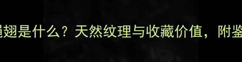 翡翠苍蝇翅是什么天然纹理与收藏价值附鉴定指南