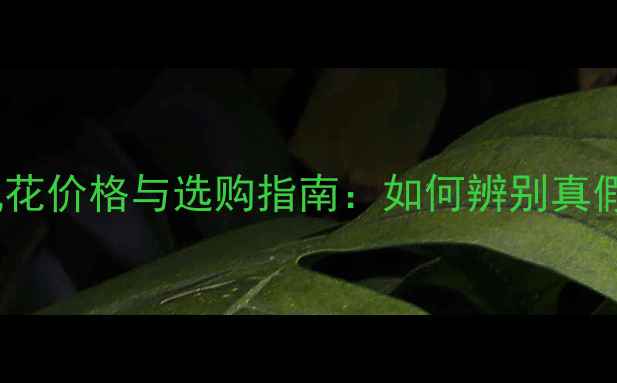 图片 翡翠豆种手镯飘花价格与选购指南：如何辨别真假及保养技巧全1