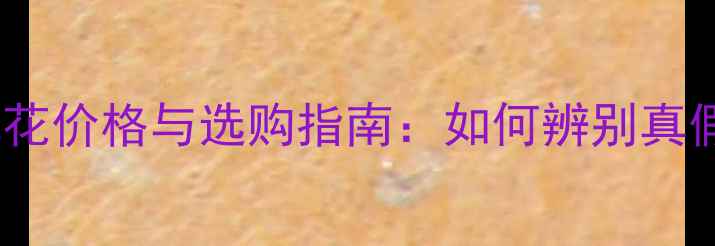 翡翠豆种手镯飘花价格与选购指南如何辨别真假及保养技巧全