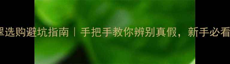 翡翠选购避坑指南手把手教你辨别真假新手必看