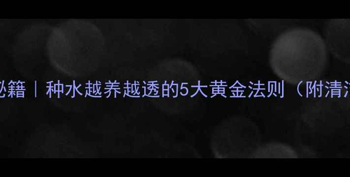 翡翠透度提升秘籍种水越养越透的5大黄金法则附清洁保养全攻略