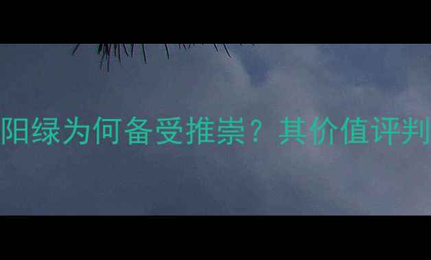 翡翠颜色之王正阳绿为何备受推崇其价值评判标准与鉴别技巧