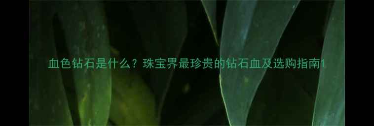 图片 血色钻石是什么？珠宝界最珍贵的钻石血及选购指南1