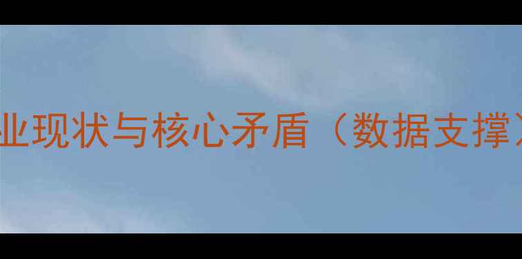 图片 行业现状与核心矛盾（数据支撑）1