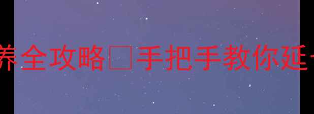 观音首饰清洁保养全攻略手把手教你延长寿命不翻车