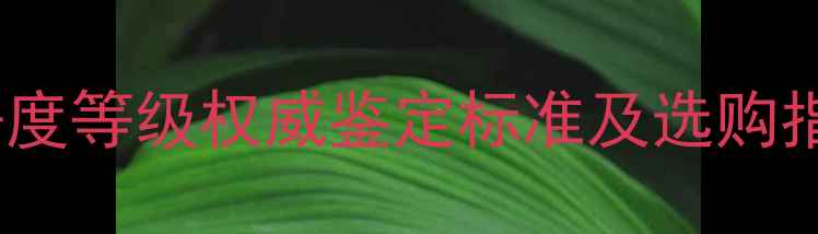图片 认证｜钻石颜色与净度等级权威鉴定标准及选购指南（附详细表格）2