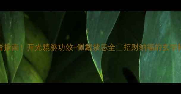 貔貅首饰必看指南开光貔貅功效佩戴禁忌全招财纳福的玄学秘密大公开