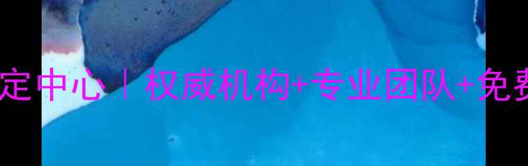 图片 郑州珠宝免费鉴定中心｜权威机构+专业团队+免费服务全公开🔍2