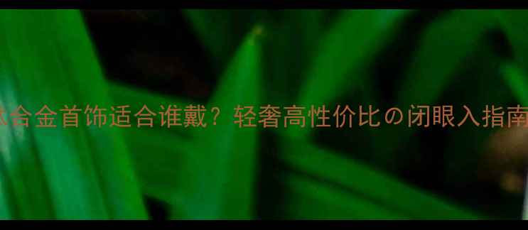 图片 钛合金首饰适合谁戴？轻奢高性价比の闭眼入指南2