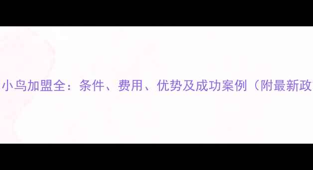 图片 钻石小鸟加盟全：条件、费用、优势及成功案例（附最新政策）