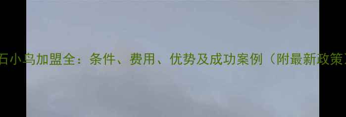 图片 钻石小鸟加盟全：条件、费用、优势及成功案例（附最新政策）1