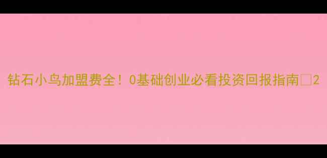图片 钻石小鸟加盟费全！0基础创业必看投资回报指南💎2