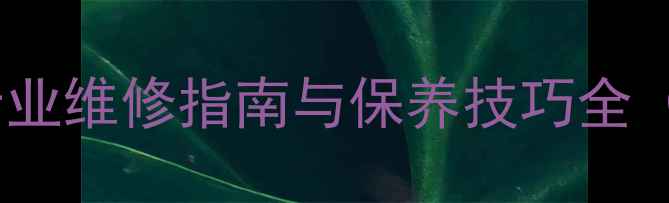 钻石戒指钻石脱落怎么办专业维修指南与保养技巧全附送修流程常见问题解答