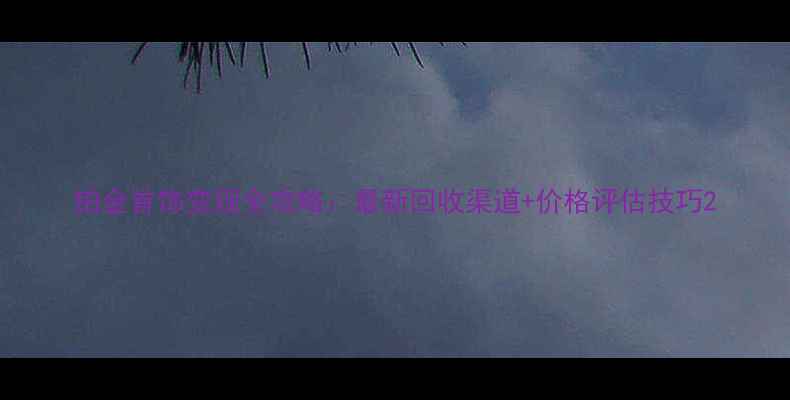 铂金首饰变现全攻略最新回收渠道价格评估技巧