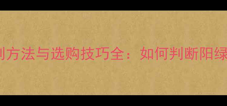 阳绿翡翠原石鉴别方法与选购技巧全如何判断阳绿翡翠价值与品质