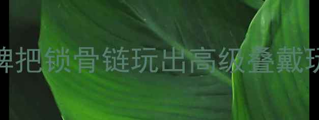 图片 项链带戒指设计天花板！这5大珠宝品牌把锁骨链玩出高级叠戴玩法，手把手教你搭出女团同款氛围感1