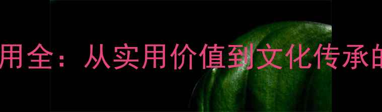 首饰的功能与作用全从实用价值到文化传承的珠宝百科指南