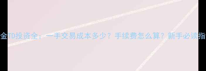 黄金TD投资全一手交易成本多少手续费怎么算新手必读指南
