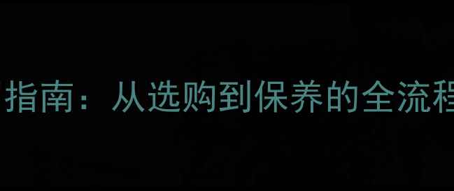 黄金珠宝投资入门指南从选购到保养的全流程附最新趋势