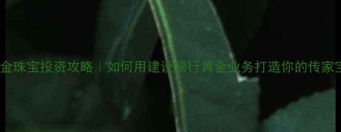 黄金珠宝投资攻略如何用建设银行黄金业务打造你的传家宝