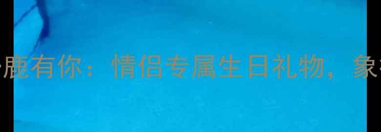 图片 黄金项链定制一鹿有你：情侣专属生日礼物，象征永恒爱的承诺