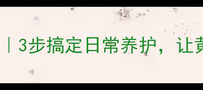 黄金首饰保养全攻略3步搞定日常养护让黄金永远光亮如新