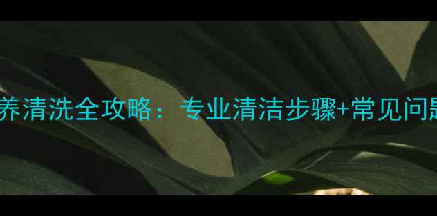 图片 黄金首饰保养清洗全攻略：专业清洁步骤+常见问题解决方案2