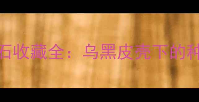 黑乌沙翡翠原石收藏全乌黑皮壳下的种水与市场价值