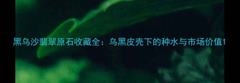 图片 黑乌沙翡翠原石收藏全：乌黑皮壳下的种水与市场价值1