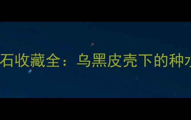 图片 黑乌沙翡翠原石收藏全：乌黑皮壳下的种水与市场价值2