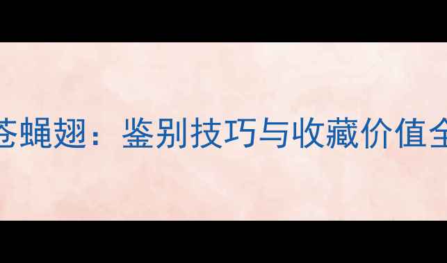 图片 黑钨砂翡翠原石苍蝇翅：鉴别技巧与收藏价值全（附高清图解）
