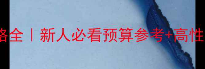 图片 💍结婚戒指价格全｜新人必看预算参考+高性价比品牌推荐1