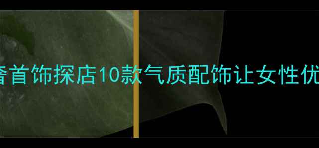 图片 💎广州轻奢首饰探店10款气质配饰让女性优雅感翻倍1