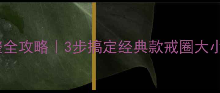 图片 🔍卡地亚戒指尺寸调整全攻略｜3步搞定经典款戒圈大小定制（附避坑指南）2