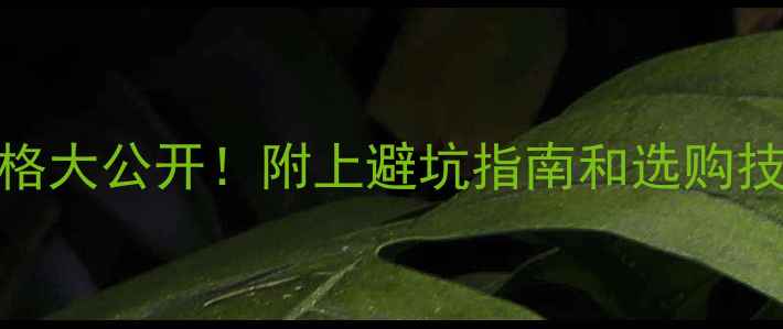 缅甸翡翠吊坠价格大公开附上避坑指南和选购技巧附种水对比图