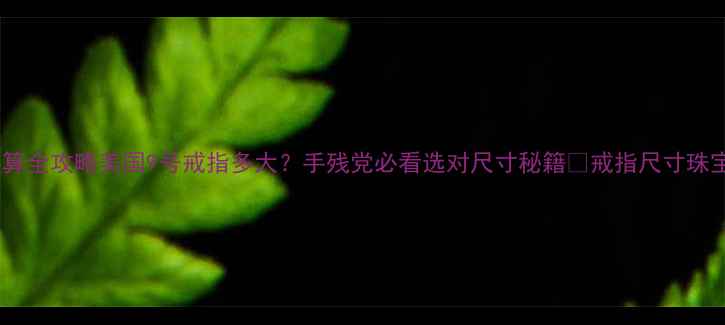 图片 🔍美式戒指号换算全攻略美国9号戒指多大？手残党必看选对尺寸秘籍✨戒指尺寸珠宝知识美式戒指2