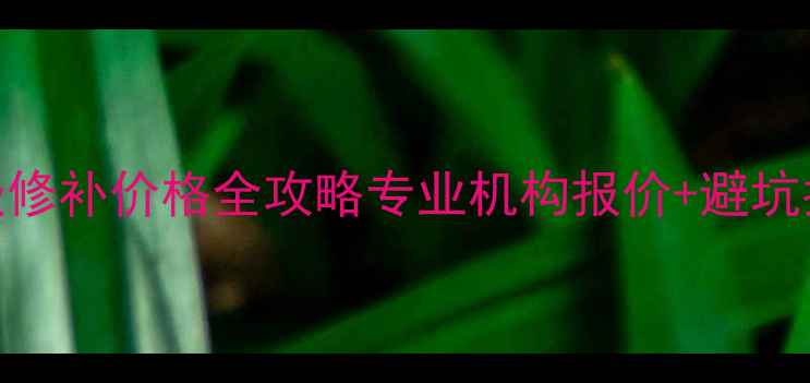 图片 🔍翡翠手镯镶嵌修补价格全攻略专业机构报价+避坑指南+DIY技巧✨